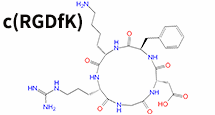 RGD環肽c(RGDfK)