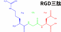 RGD線性三肽