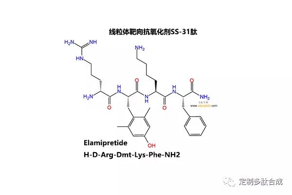 線粒體靶向抗氧化劑SS-31肽|736992-21-5|Elamipretide|H-D-Arg-D